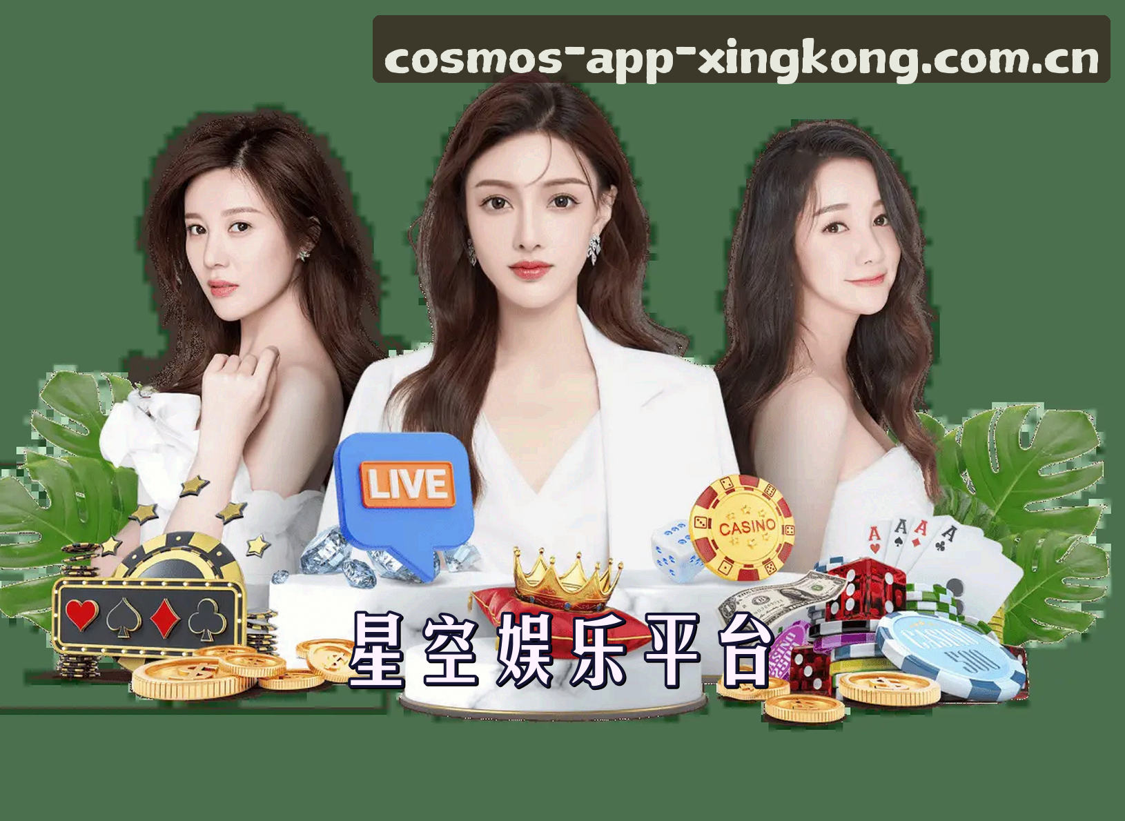 星空App(中国)官网